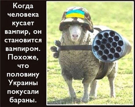 Елена Елена