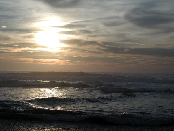 Наталья Жаркова