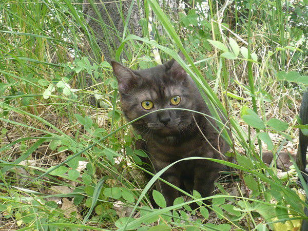 Игорь Чужинов