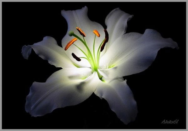 Марина Назимовна