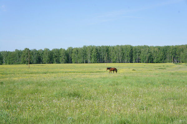 Екатерина Трофимова