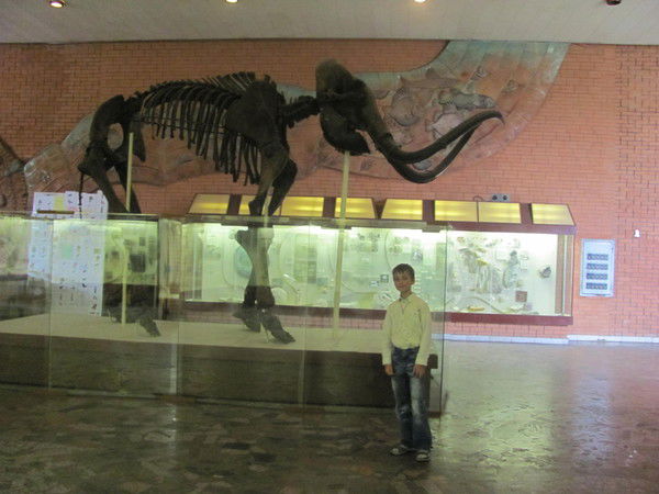 Костя Синица