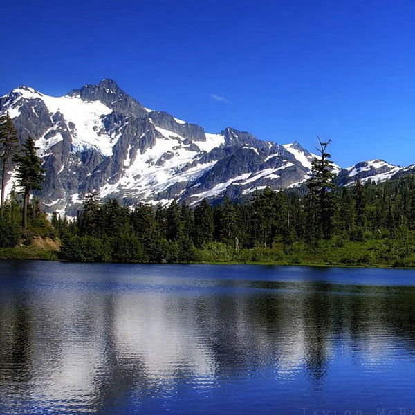 Михаил Яковуша