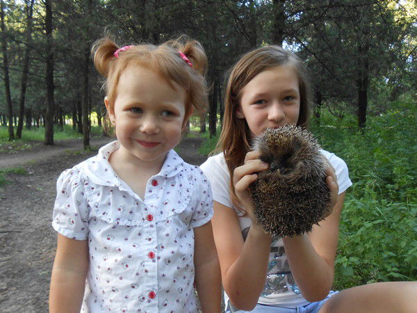 Александр Дворничен