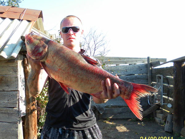 Сергей Русаков