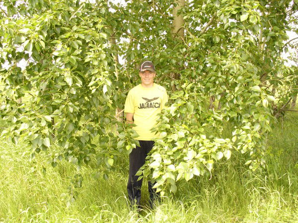 Евгений Горелов