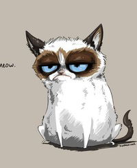 Ренат Латыпов