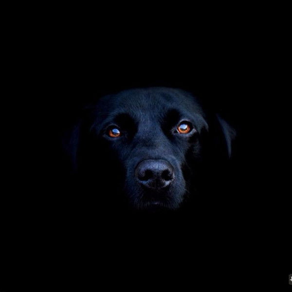 Сергей Дубов