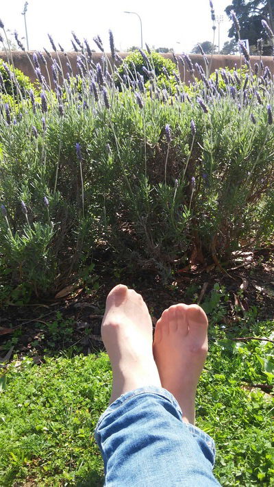 Эка Аксанич