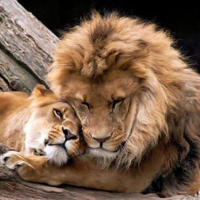 Тимур Джумагулов