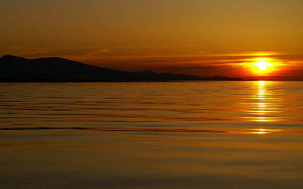 Валерий Ким