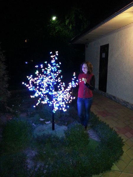 Аленка Ухова