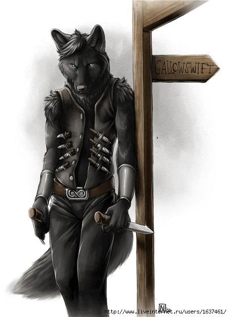 *-Волк Одиночка-*