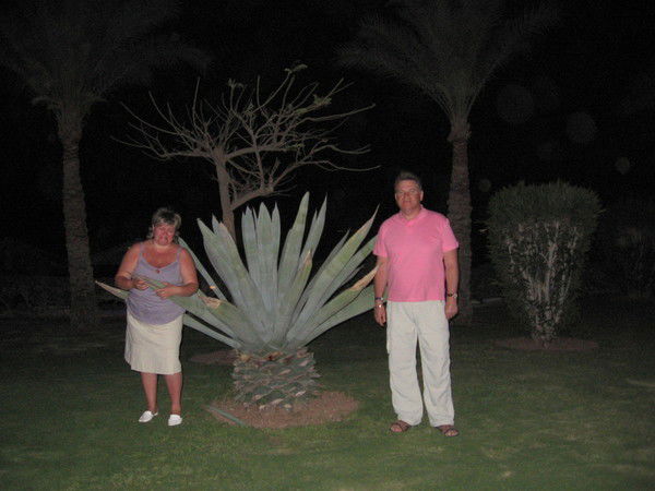 Ирина Комиссарова