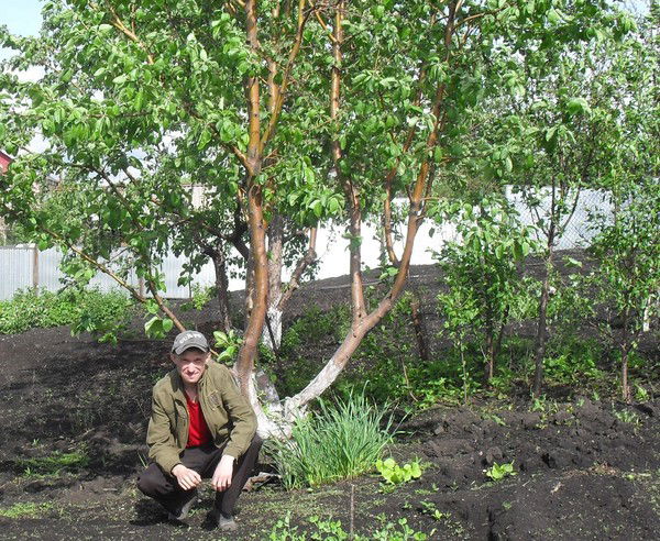 Андрей Тырышкин