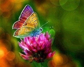 Нина Савелова