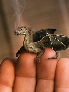 Элеонора Казакова