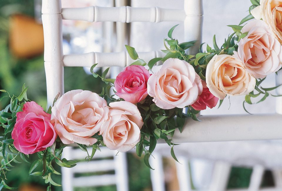 Ирина Харчикова