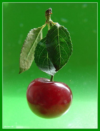 Екатерина Изофатова