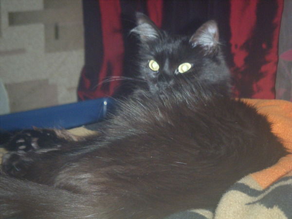 Марина Ковалёва