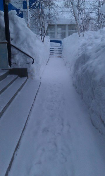 Андрей Моисеев