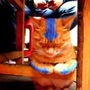 Петр Илюхин