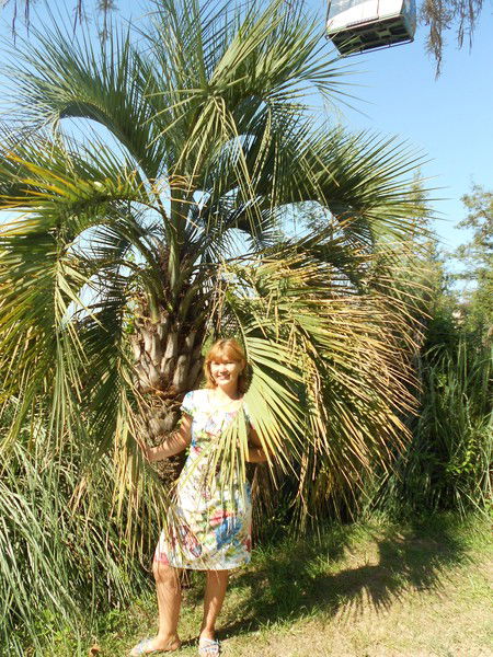 Елена Батоврина