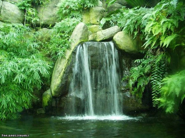 Лариса Осипова