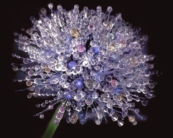 Татьяна Мунихова