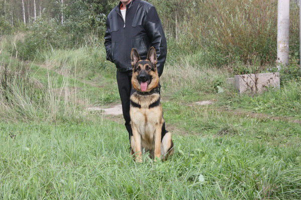 Андрей Пузанов