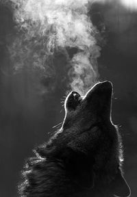 Настюша Страхова