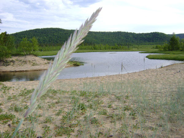 Вера Быкова