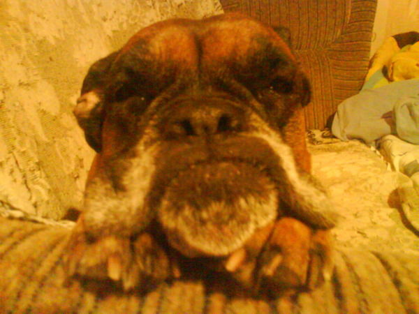 Ирина Вартанова