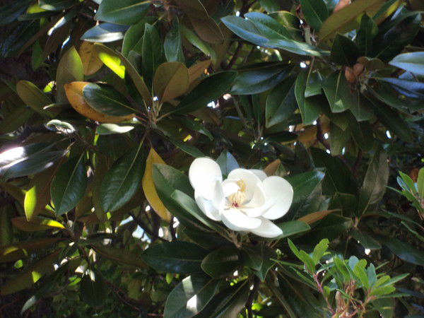 Татьяна Кравчук