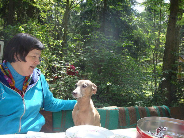 Людмила Крашевская