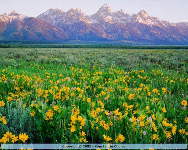 Назымон Ержанова