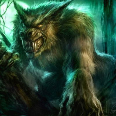 Дима Кочерго