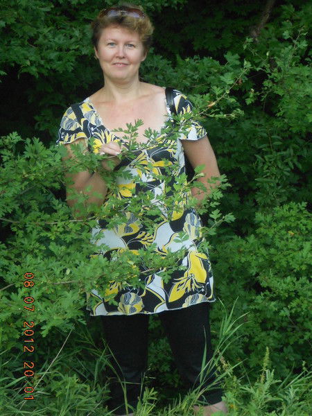 Алла Косова