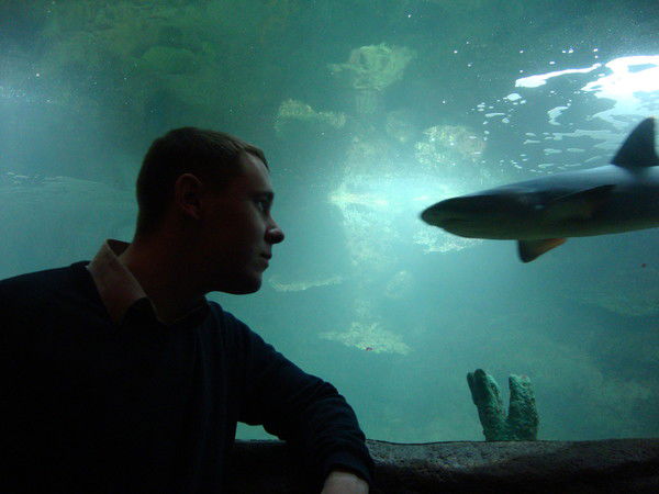 Василий Пипуныров