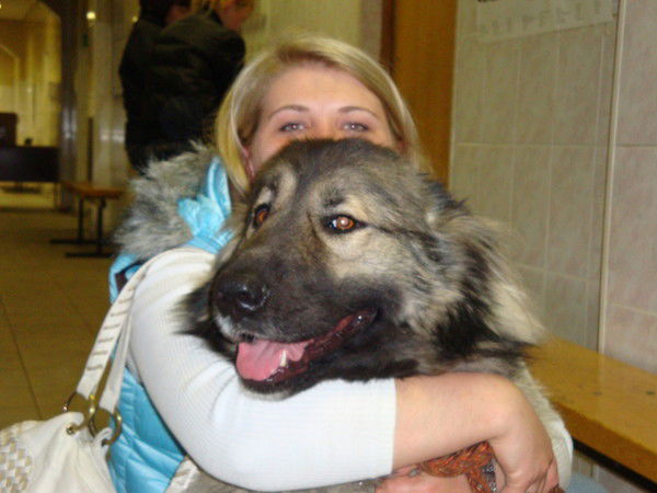 Наталья Бозина