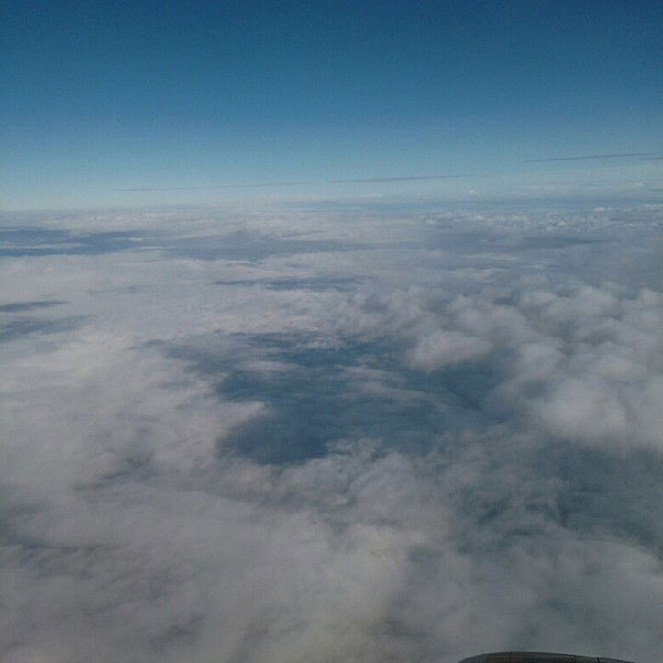 Елена Соколова