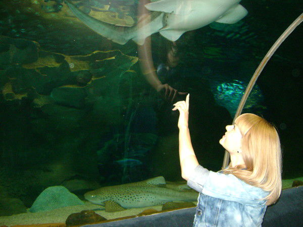 Евгения Кочергина