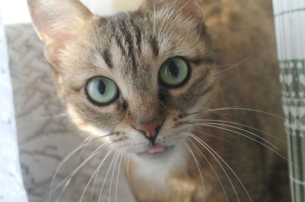 Екатерина Искандирова