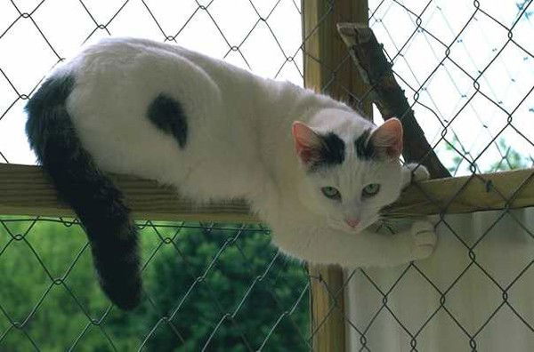 Лариса Шухардина