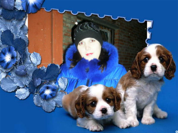 Ксения Карепова