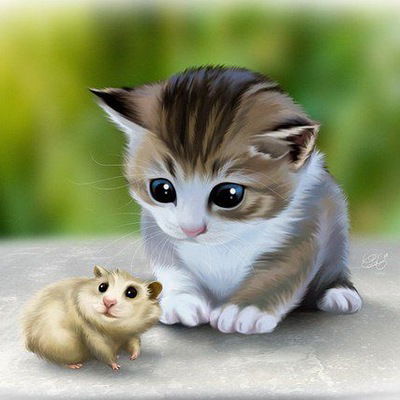 Индалина Шабалина