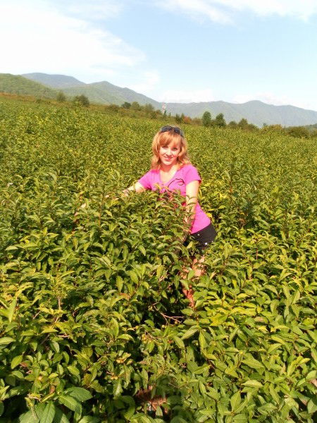 Ирина Анисимова