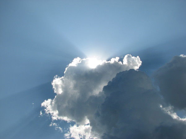 Елена Ворончихина