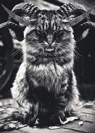 Вилена Игбердина