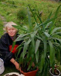 Ольга Матвеева